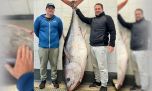 Gigantesca captura de un atún aleta amarilla de 165 kilos