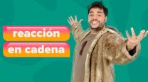 Homero Pettinato