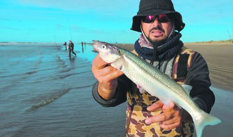 1806_pesca