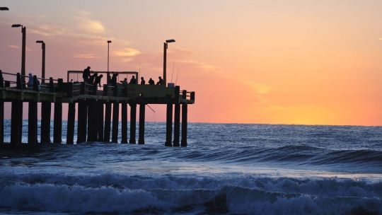 1706_muelles