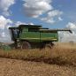 La actividad económica creció 3,5% en marzo según el INDEC