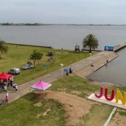 En Junín buscan razones a la merma del pejerrey que indudablemente tiene que ver con la falta de agua a la que se han visto afectadas las lagunas, así como también, la presencia de trabajos que indican que la presencia de agroquímicos ha complicado la reproducción de la especie. 