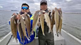 1806_pesca
