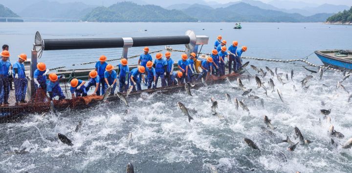 Imagen de trabajadores atrapando peces en el lago Qiandao, en la provincia de Zhejiang, en el este de China.