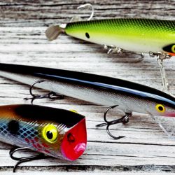 Por primera vez, el mayor torneo de pesca con artificiales del país lanza su versión de invierno, 20 y 21 de junio, en Rosario.