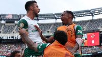 Palmeiras