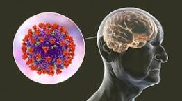 Cuál es el impacto del Covid en el cerebro.