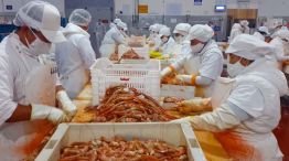 La pesca argentina de langostinos20250619