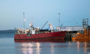 La pesca argentina de langostinos20250619