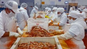 La pesca argentina de langostinos20250619