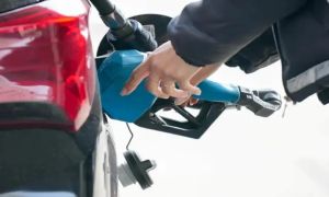 Combustibles
