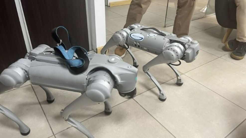 21-6-2025-Perros robot Aipha G 