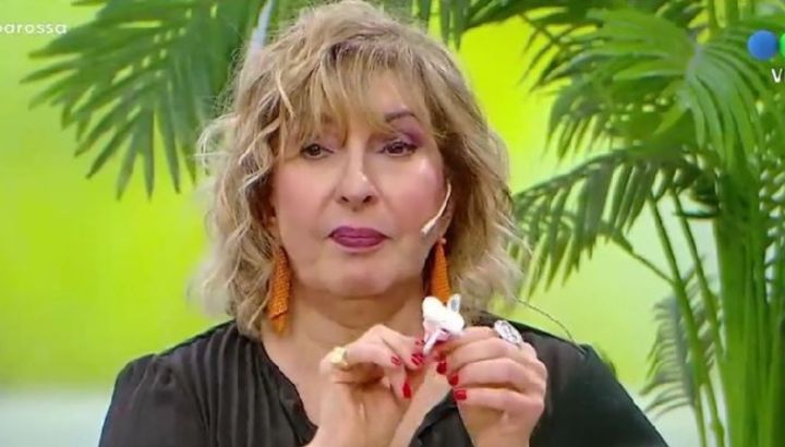 Cómo sigue la salud de Georgina Barbarossa tras descompensarse en vivo