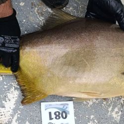 La Fiesta Provincial de la Boga y el Pacú no solo celebra la pesca, sino que se afianza como un evento integral, sostenible y de alto impacto turístico, con gran interés también de pescadores de provincias vecinas como Misiones, y de países como Brasil y Paraguay.