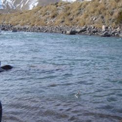 La pesca con mosca, cuando se practica con ética y conciencia ambiental, transforma al pescador en un verdadero custodio de los ríos y lagos mendocinos.