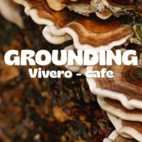 Grounding se prepara para su primer cosecha de hongos: una apuesta por la producción propia, orgánica y consciente