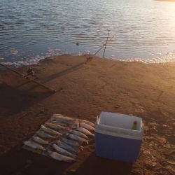 Las heladas no impiden dar con buenos matungos en lagunas que están rindiendo muy bien. 
