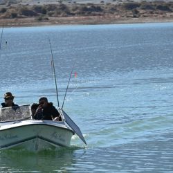 La actividad se desarrolló tanto de costa como embarcados y se extendió durante dos jornadas, entre viernes 20 y sábado 21.