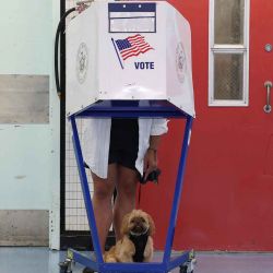 Una persona, junto a su perro, vota en un centro de votación en la escuela secundaria Louis D. Brandeis. Manhattan. Foto de TIMOTHY A. CLARY / AFP | Foto:AFP