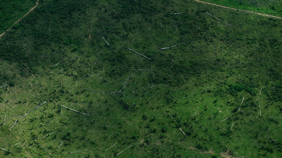 Aerial view showing land deforested for cattle ranching in the Ituna/Itatá Indigenous territory, home to uncontacted Indigenous peoples, in Pará state, Brazil, on June 13, 2025. 