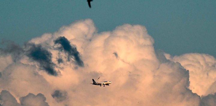 Aves vuelan cerca de un avión de la aerolínea alemana Lufthansa frente a un cielo nublado durante el atardecer en Fráncfort del Meno. Foto de Kirill KUDRYAVTSEV / AFP
