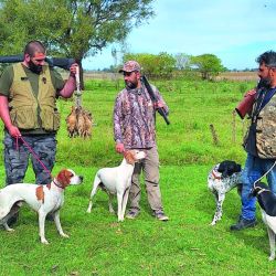 El momento más esperado: perdiz en pleno vuelo, dejándola que tome distancia para que los perdigones se desconcentren y sólo alguno le pegue, lo que permitirá que el perro haga su aporte y el cazador la lleve a la olla.