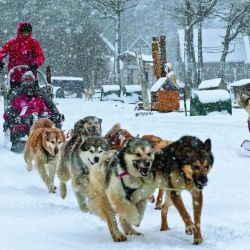 Argentina: donde hacer snowboard, trekking con raquetas y más actividades de nieve.