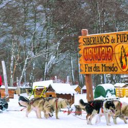 Argentina: donde hacer snowboard, trekking con raquetas y más actividades de nieve.
