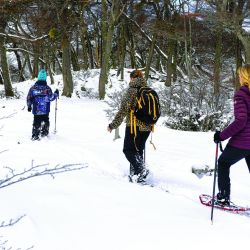 Argentina: donde hacer snowboard, trekking con raquetas y más actividades de nieve.