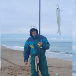 En Miramar abundan los buenos pesqueros en una zona de mucha piedra que atrae a los peces a alimentarse. 
