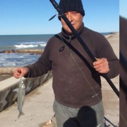 En Miramar abundan los buenos pesqueros en una zona de mucha piedra que atrae a los peces a alimentarse. 