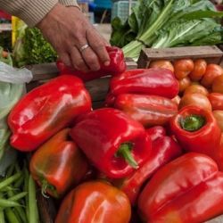 Verduras | Foto:CEDOC