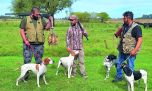 Caza menor: perdices entre la soja y las pasturas 