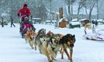 Argentina: donde hacer snowboard, trekking con raquetas y más actividades de nieve