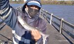 Expectativa por el pique de pejerreyes en las costas platenses