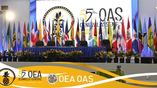 OEA20250625