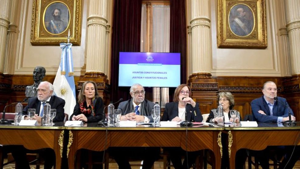 25-06-2025 Senado comisión ampliación de la Corte Suprema Vigo Pagotto