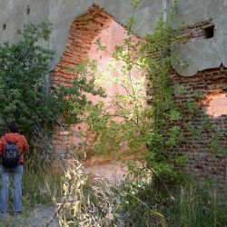 El municipio de Bariloche trabaja para hacer visitable la isla Huemul.