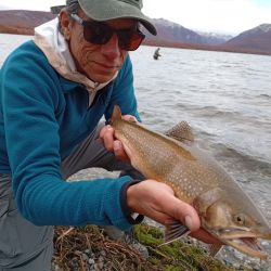 Pescamos bajo condiciones extremas: frío, llovizna y un viento cordillerano penetrante. Pero todo quedó olvidado al ver la primera trucha fontinalis, una joya multicolor que superaba la imaginación del artista más audaz.
