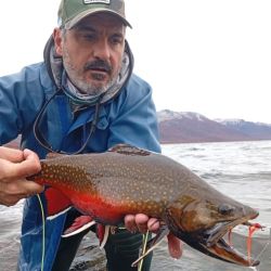 Pescamos bajo condiciones extremas: frío, llovizna y un viento cordillerano penetrante. Pero todo quedó olvidado al ver la primera trucha fontinalis, una joya multicolor que superaba la imaginación del artista más audaz.