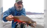 Las últimas truchas antes del invierno en el lago Engaño 