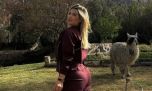 Filtraron la verdad del viaje de Wanda Nara a Jujuy: los detalles del encuentro que tuvo