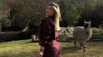 Filtraron la verdad del viaje de Wanda Nara a Jujuy: los detalles del encuentro que tuvo