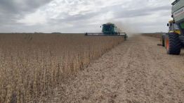 Agro