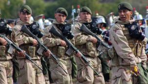 Fuerzas Armadas Argentinas 20250626