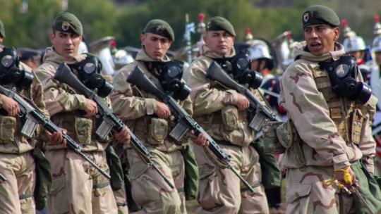 Fuerzas Armadas Argentinas 20250626