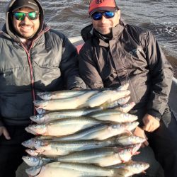 Discreta semana de pesca en todo el país. Las heladas condicionan al peje y otras especies, mientras que la crecida del Uruguay como del Paraná alteró la Cuenca del Plata.