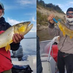 Discreta semana de pesca en todo el país. Las heladas condicionan al peje y otras especies, mientras que la crecida del Uruguay como del Paraná alteró la Cuenca del Plata.