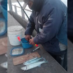 Discreta semana de pesca en todo el país. Las heladas condicionan al peje y otras especies, mientras que la crecida del Uruguay como del Paraná alteró la Cuenca del Plata.