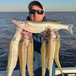 Discreta semana de pesca en todo el país. Las heladas condicionan al peje y otras especies, mientras que la crecida del Uruguay como del Paraná alteró la Cuenca del Plata.